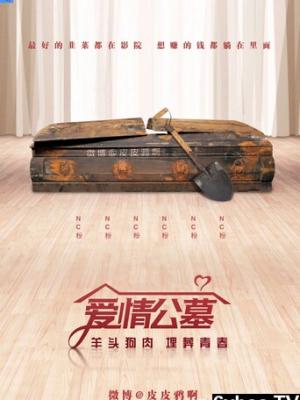 影视作品